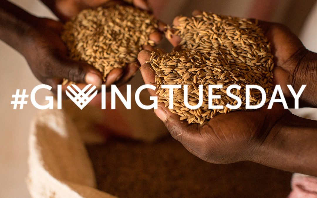 What is Giving Tuesday?