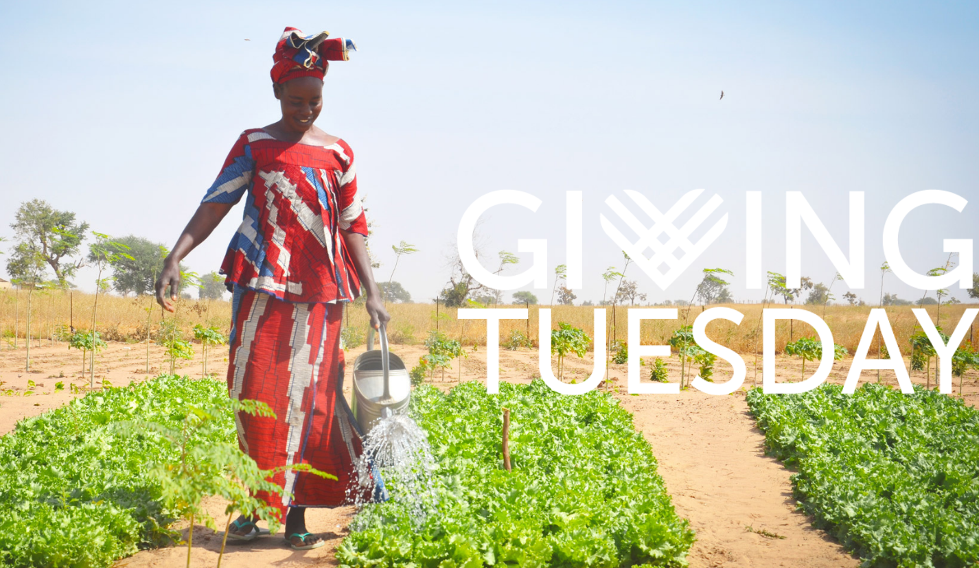 GivingTuesday