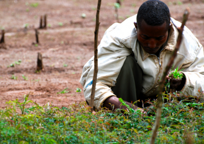 Project #24 | Re-forestation Project in Ethiopia