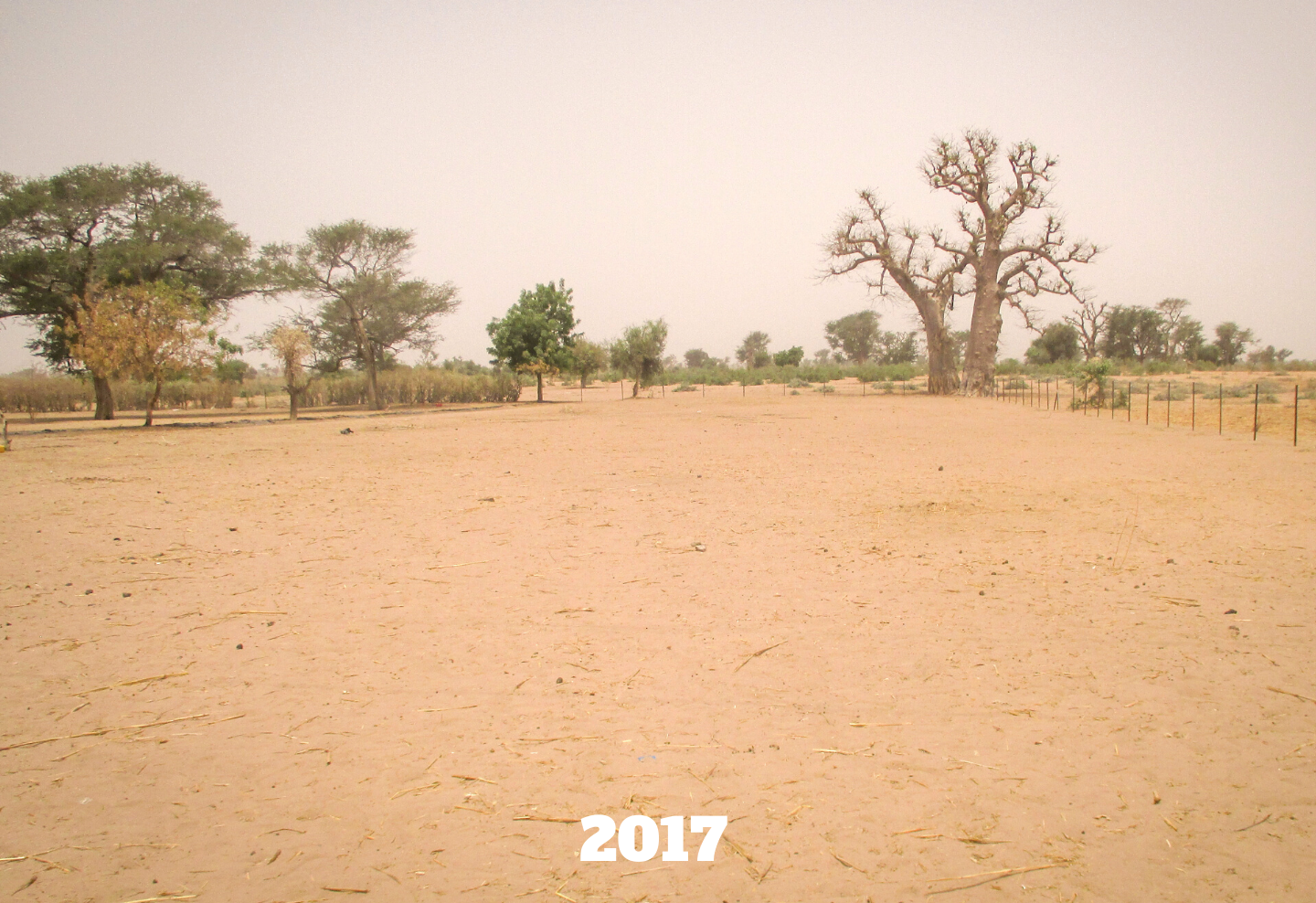 2017