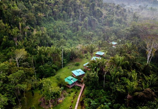 JaguarCreek Cabanas in a jungle