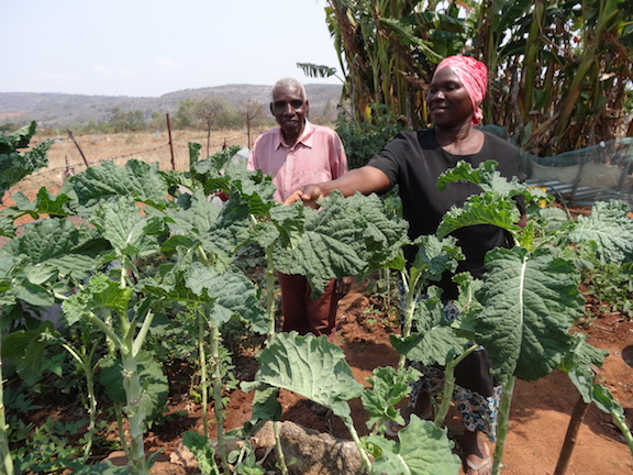 Project #173 | Building Healthy, Self-Reliant Families in Zimbabwe